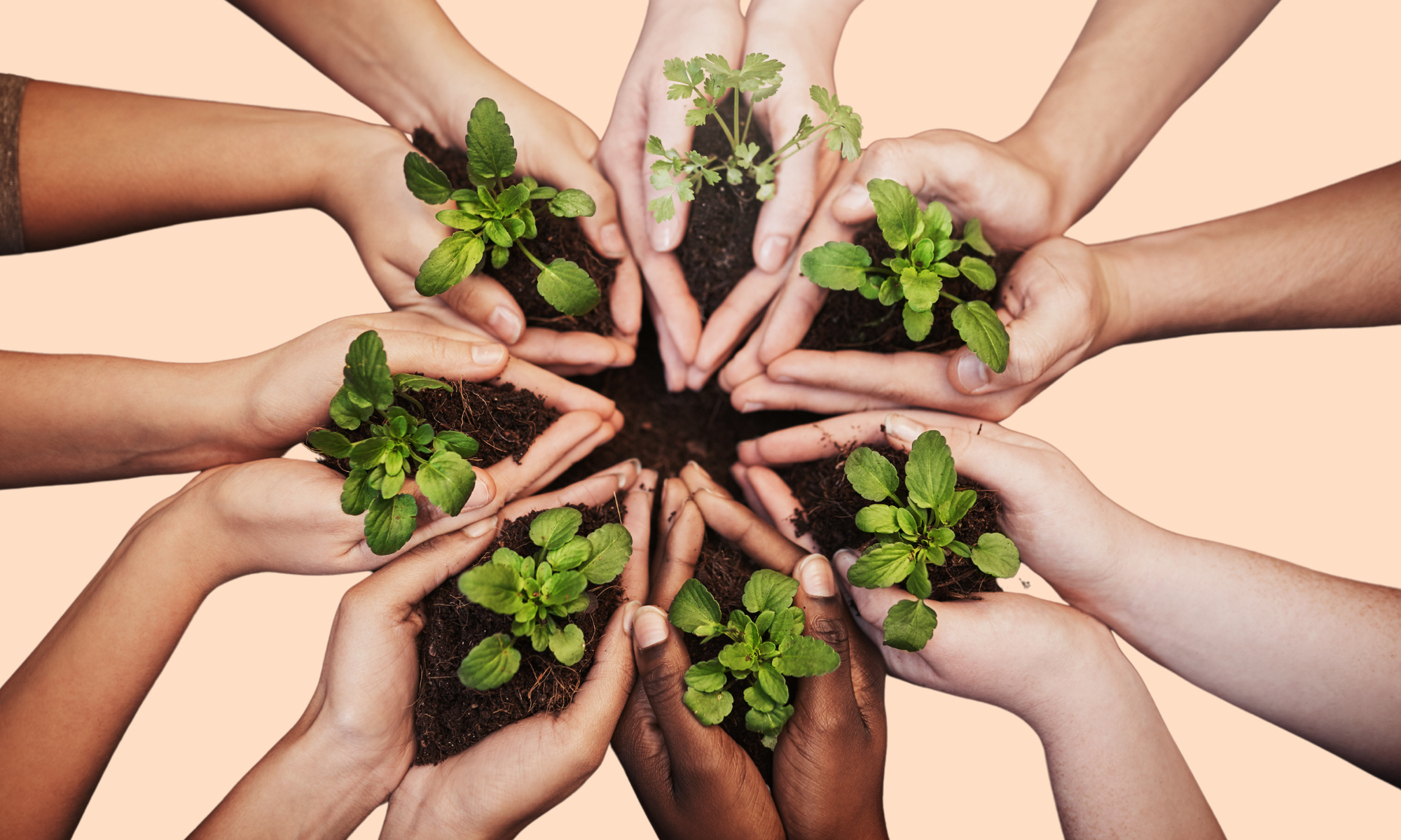 definition-marque-ecoresponsable
