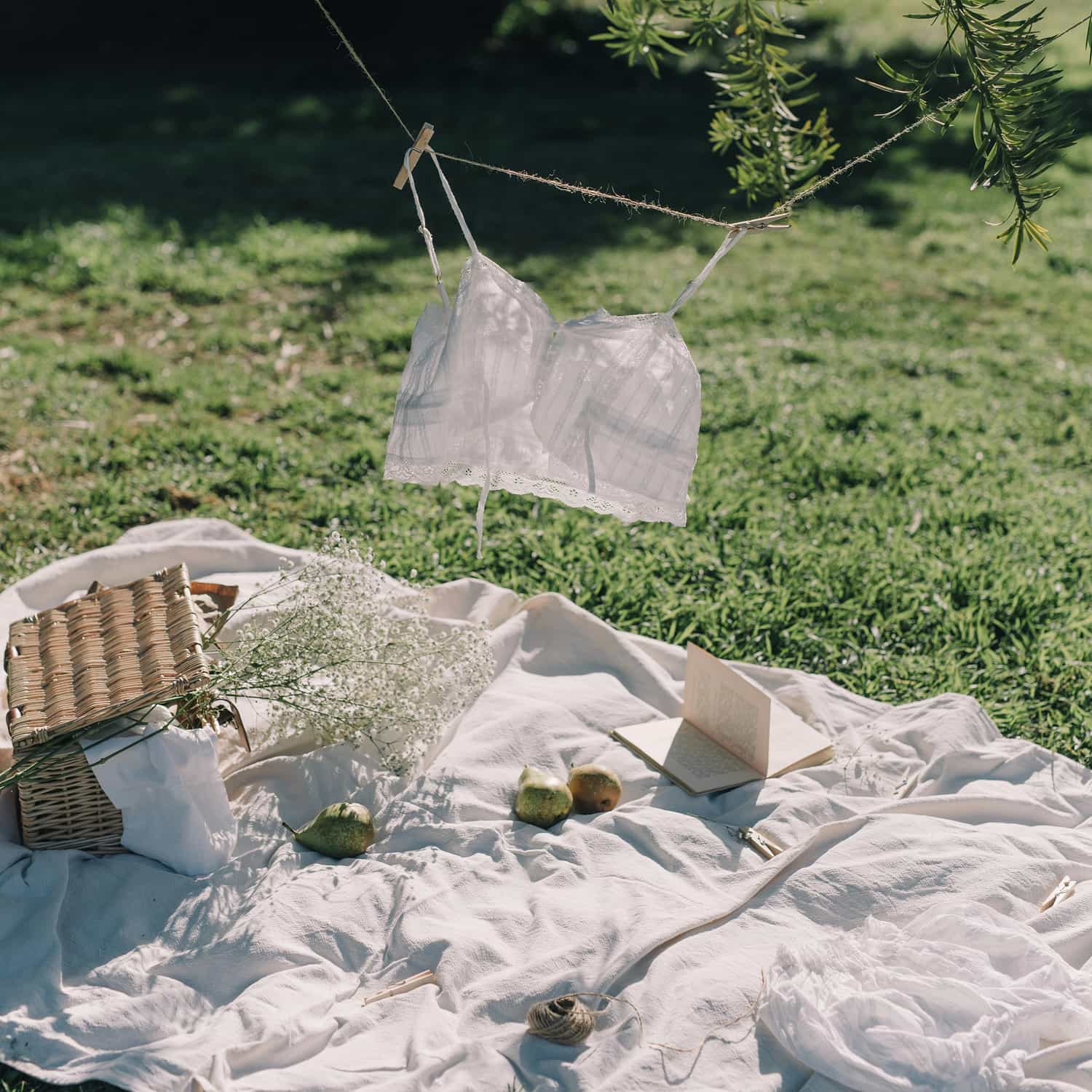Un pic nic en pleine nature